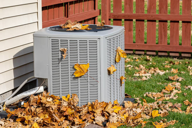 Best HVAC Maintenance Near Me  in Shelburn, IN